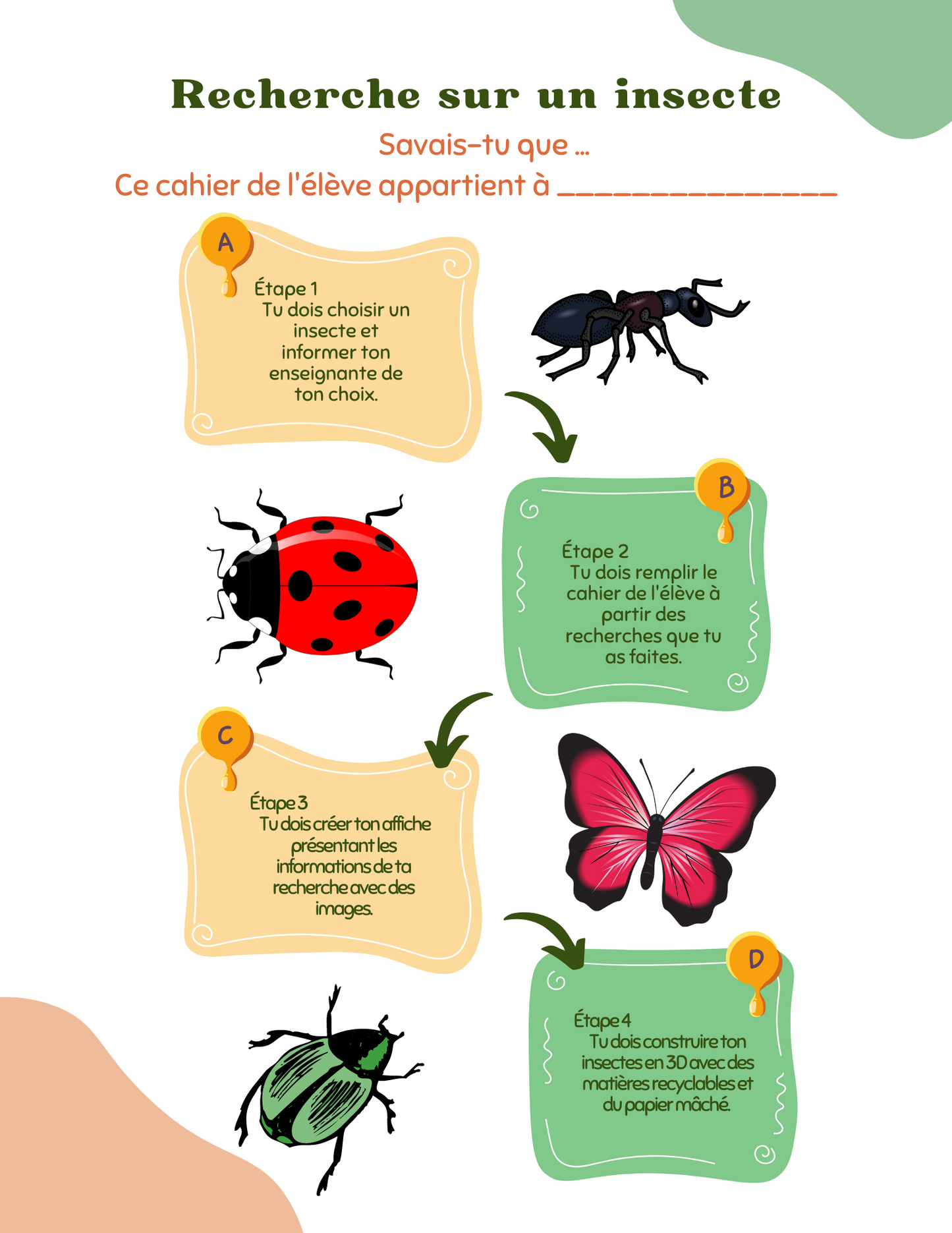 Projet de recherche - Insectes