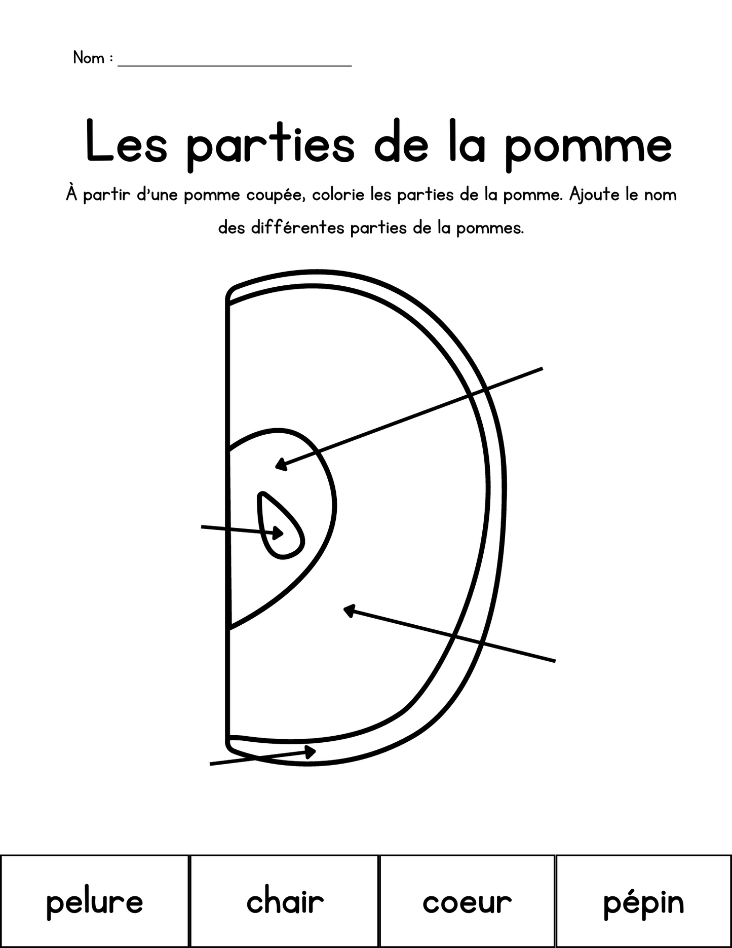 Cahier d'activités sur les pommes (2e année)