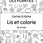*GRANDISSANT* 3e année - Lis et colorie + concepts mathématiques