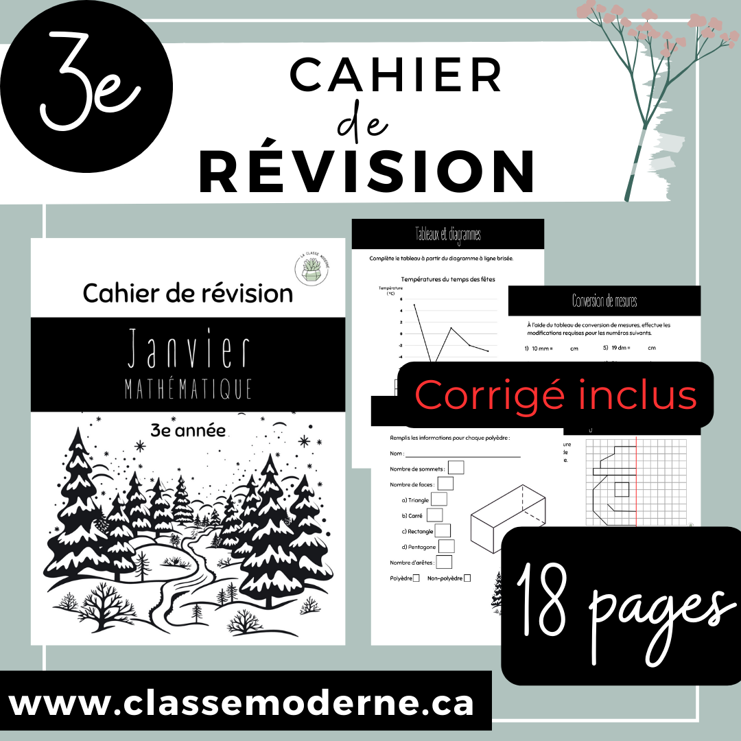 3e - Cahier de révision - Janvier