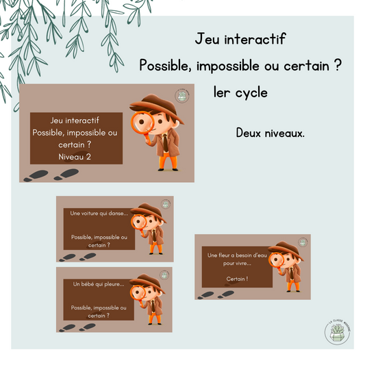 Jeu interactif- Possible, impossible ou certain ?