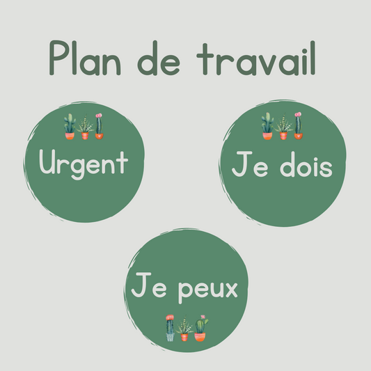 Pastilles de plan de travail - Cactus